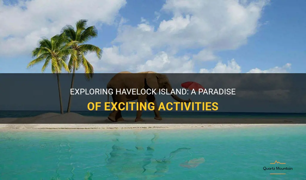 things to do in havelock island