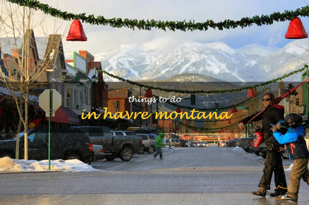 things to do in havre montana