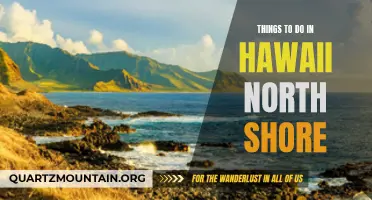North Shore Adventure: Must-Do Activities in Hawaii