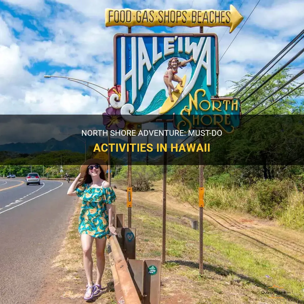 things to do in hawaii north shore