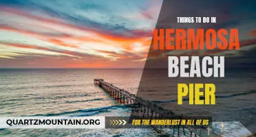 12 Fun Activities to Try at Hermosa Beach Pier