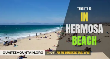 13 Things to Do in Hermosa Beach for a Perfect Day Trip