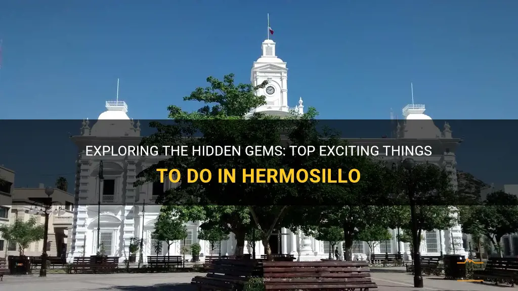 things to do in hermosillo