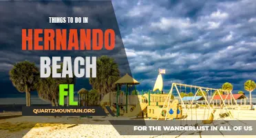13 Fun Activities to Explore in Hernando Beach FL