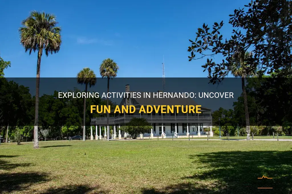 things to do in hernando