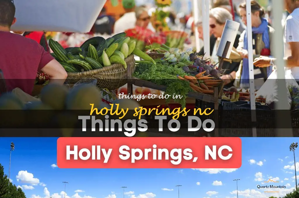 things to do in holly springs nc