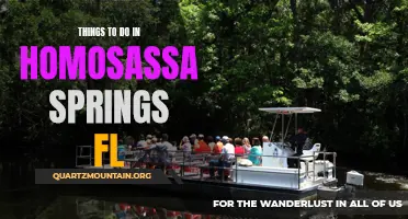 12 Must-Do Activities in Homosassa Springs, FL