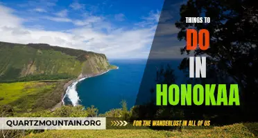 11 Amazing Things to Do and See in Honokaa
