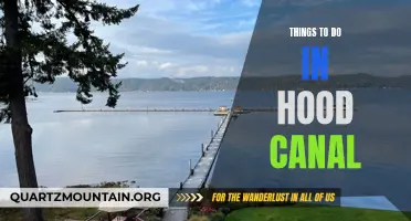 12 Amazing Activities to Experience in Hood Canal