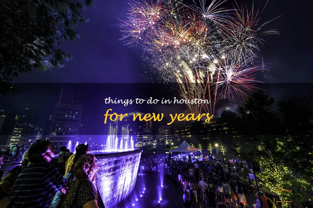 things to do in houston for new years