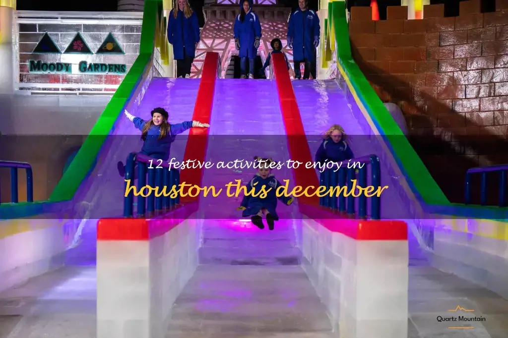 things to do in houston in december