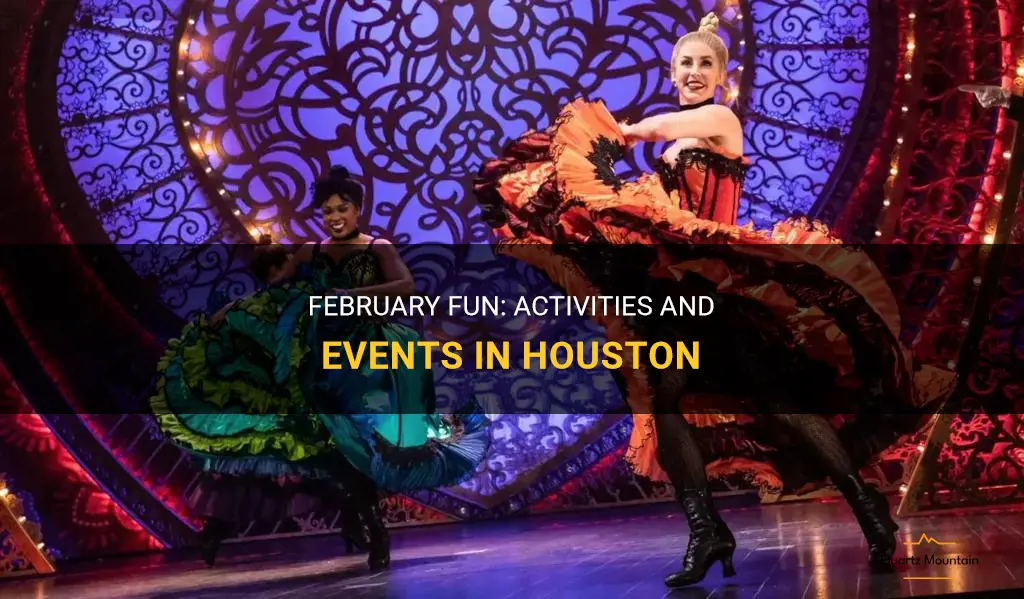 things to do in houston in february