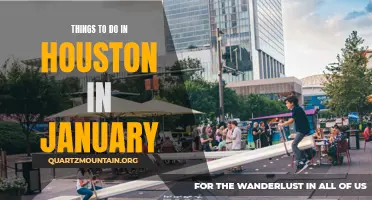 12 Exciting Activities to Enjoy in Houston this January!