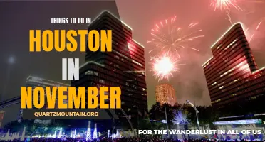 Houston Happenings: Top November Activities for City Explorers