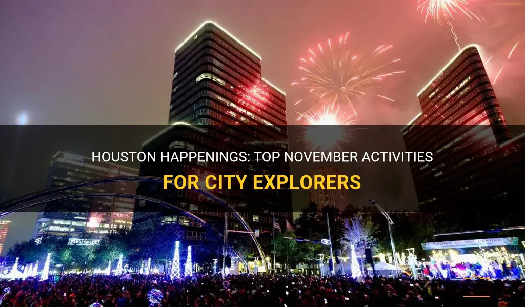 things to do in houston in november