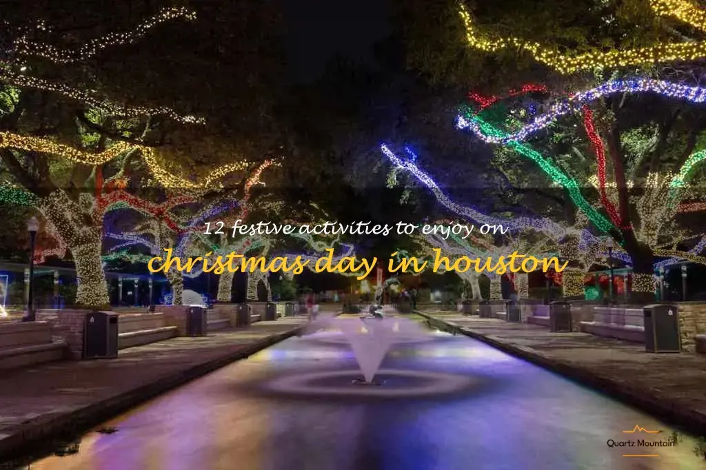 12 Festive Activities To Enjoy On Christmas Day In Houston QuartzMountain