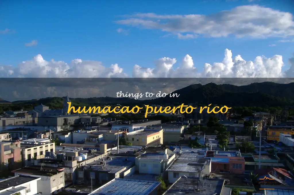 things to do in humacao puerto rico
