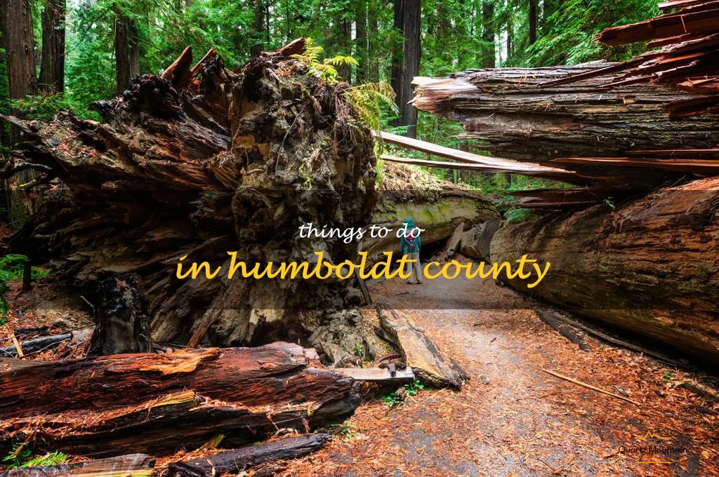 things to do in humboldt county