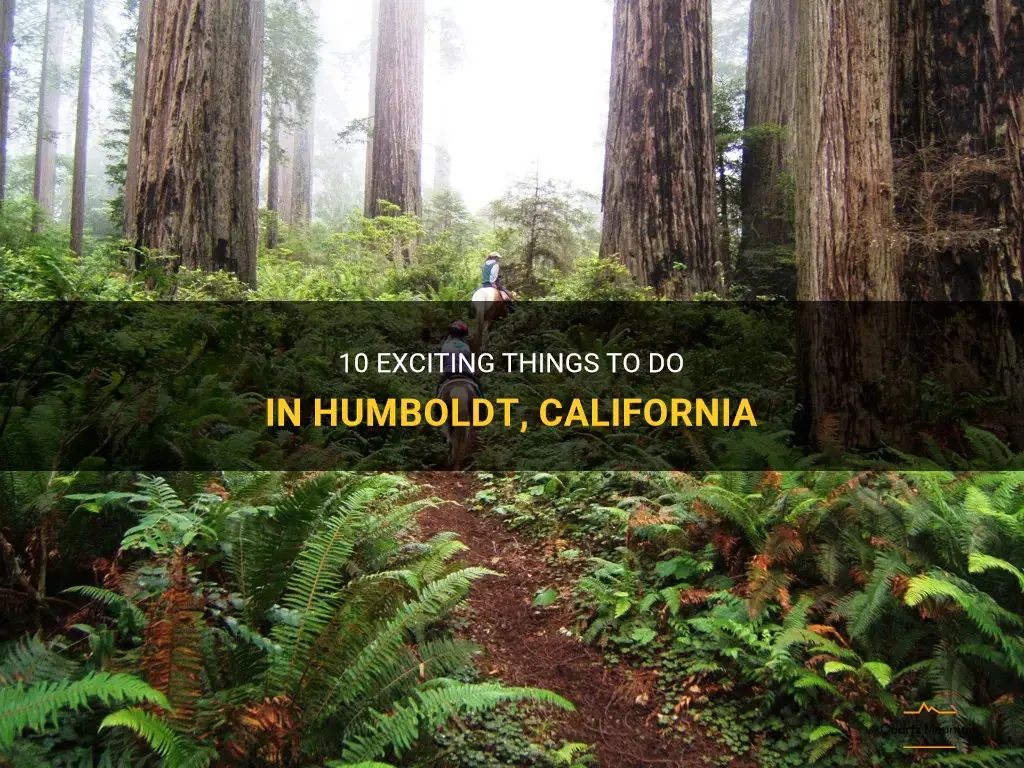 things to do in humboldt in California