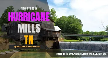 Exploring the Natural Beauty: Top Things to Do in Hurricane Mills, TN