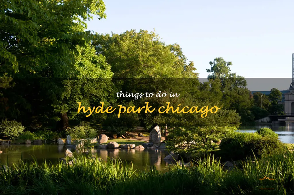 things to do in hyde park chicago