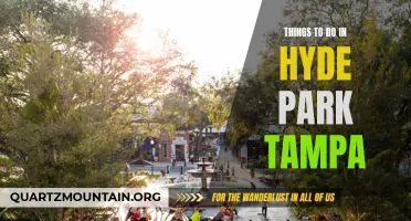 10 Fun Activities to Experience in Hyde Park Tampa