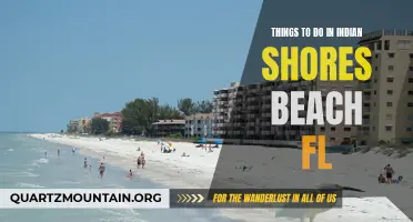 Exploring Indian Shores Beach: Must-Do activities in Indian Shores, FL