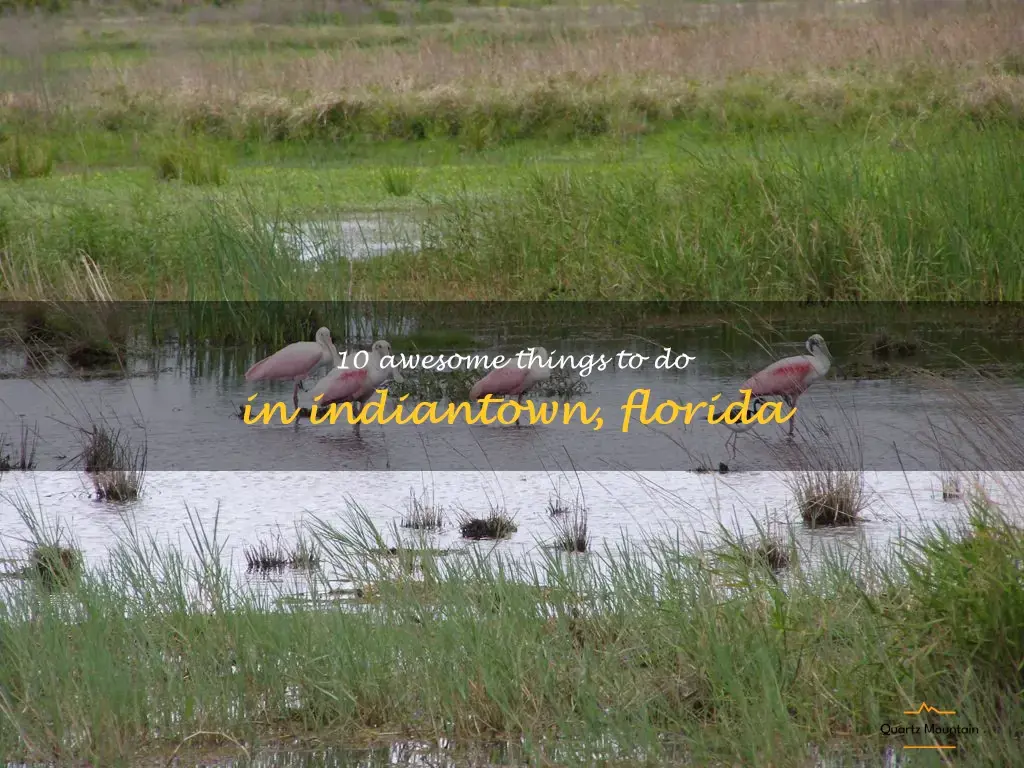 things to do in indiantown florida