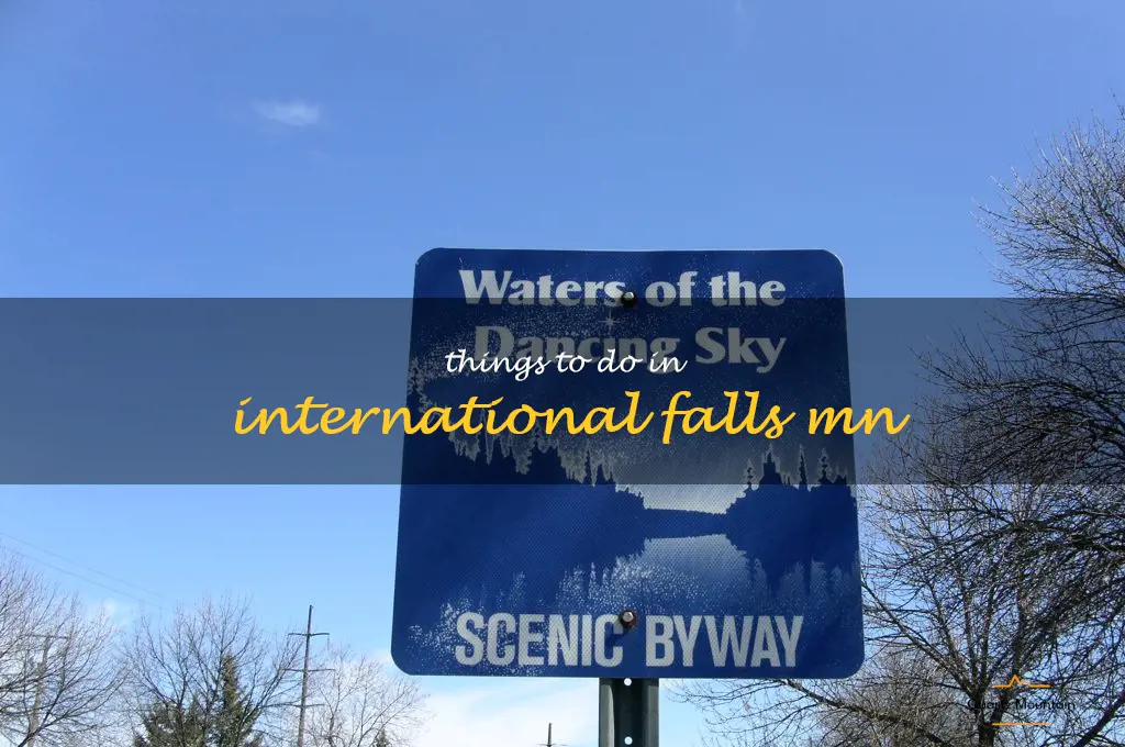 things to do in international falls mn