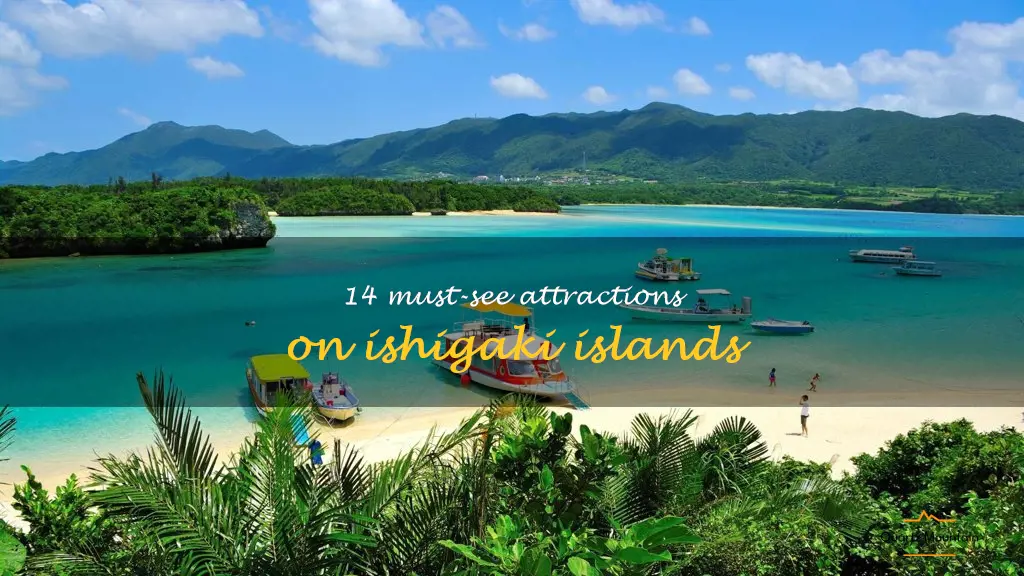 things to do in ishigaki islands