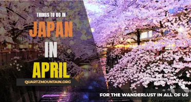 10 Breathtaking Activities to Experience in Japan in April