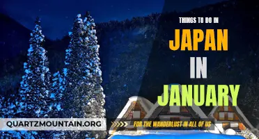 January Adventures: Exploring Japan's Winter Wonders