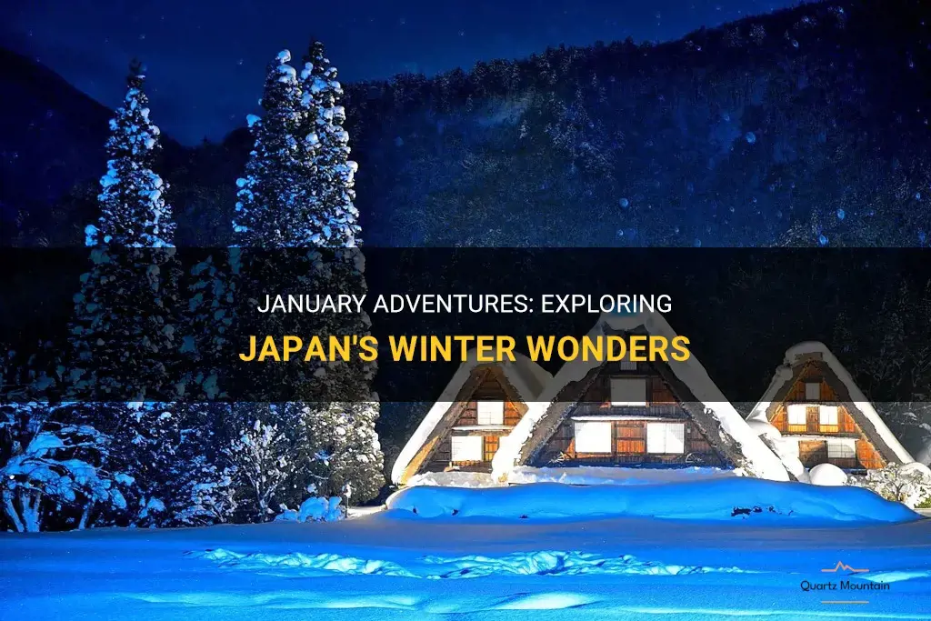 things to do in japan in january