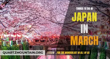 Top 10 Things to Do in Japan in March: A Guide to Springtime Activities
