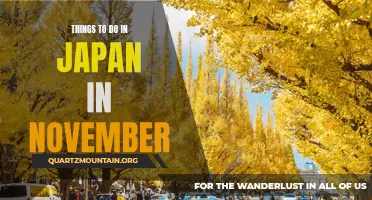 The Best Places to Visit and Activities to Enjoy in Japan in November