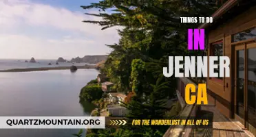 13 Fun and Exciting Things To Do In Jenner, CA