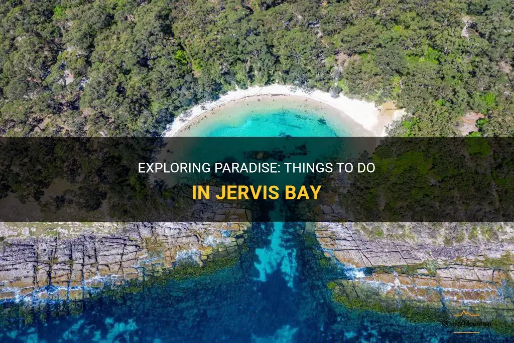 things to do in jervis bay