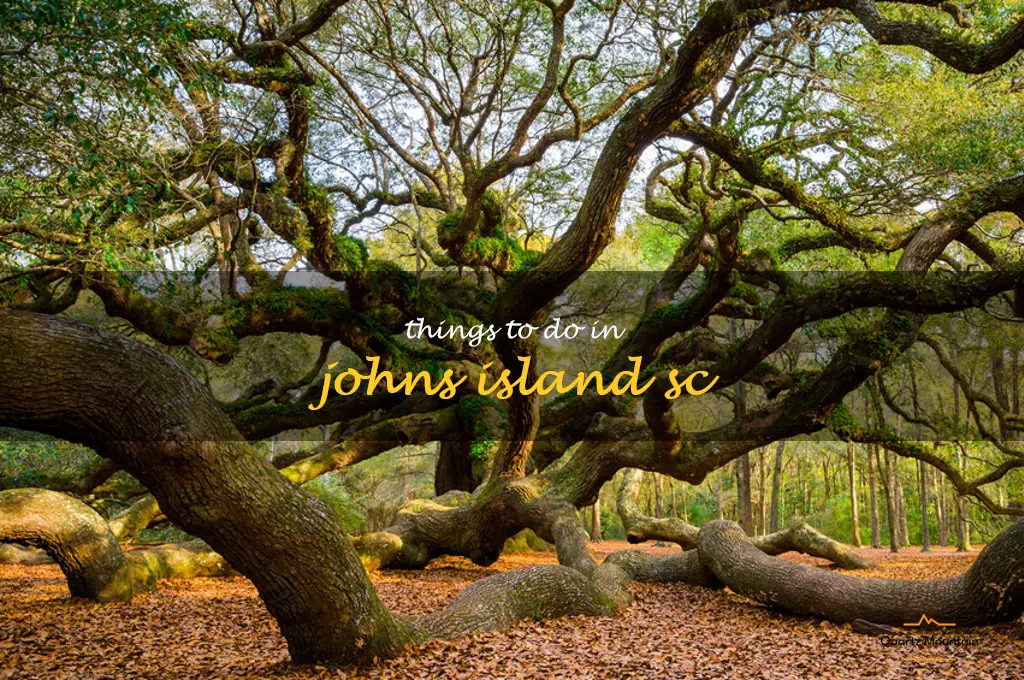 things to do in johns island sc