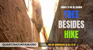 12 Unique Activities to Enjoy in Joshua Tree Beyond Hiking