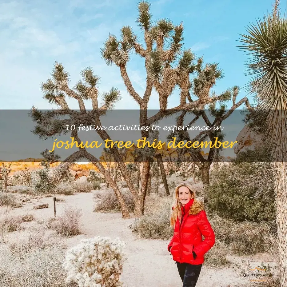 things to do in joshua tree in december