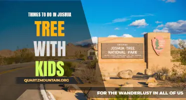 10 Fun Activities to Do in Joshua Tree with Kids