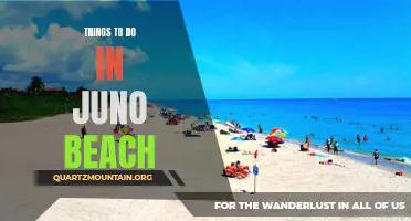10 Fun Activities to Experience in Juno Beach