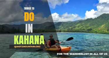 Discover the Best Activities in Kahana