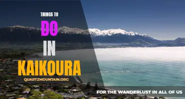 Exploring the Wonders of Kaikoura: A Guide to Adventure and Natural Beauty