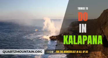 12 Amazing Things to Do in Kalapana That Will Leave You Breathless