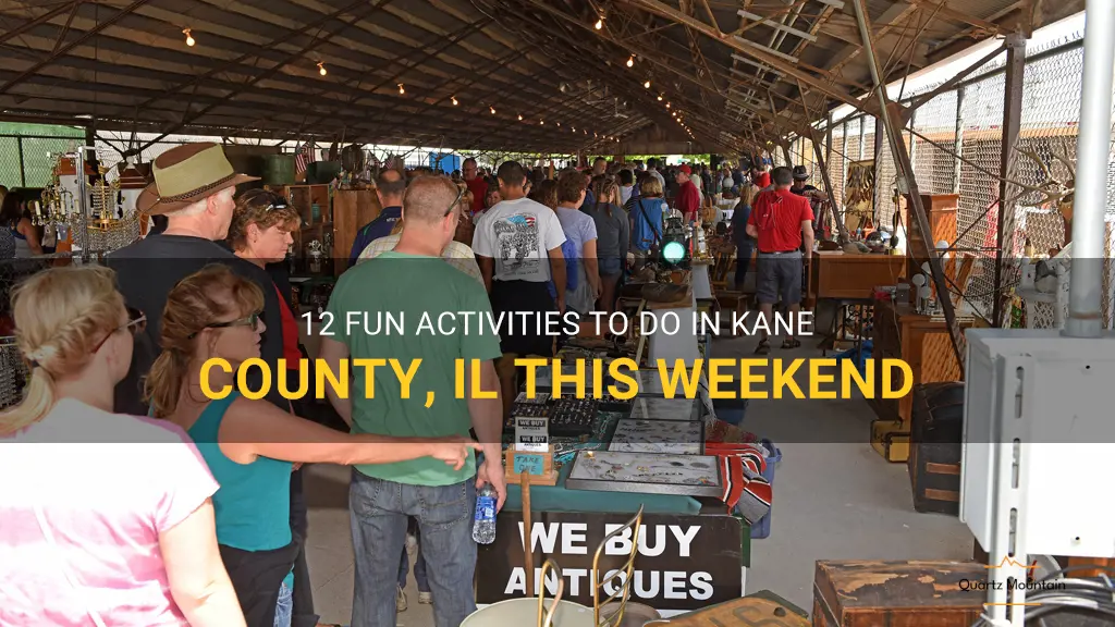 things to do in kane county il this weekend