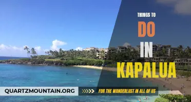 13 Must-Do Activities in Kapalua: A Complete Guide