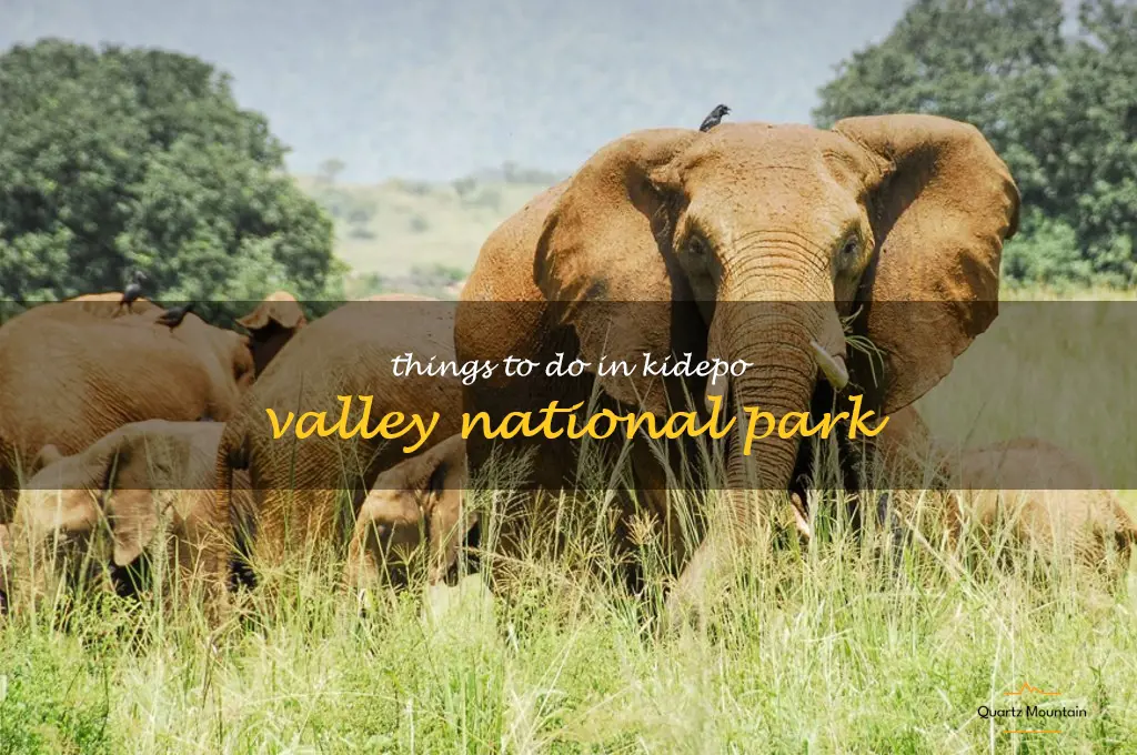 things to do in kidepo valley national park