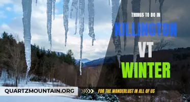 Top Winter Activities in Killington, VT: A Winter Wonderland Awaits!