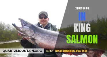 13 Must-Do Activities in King Salmon